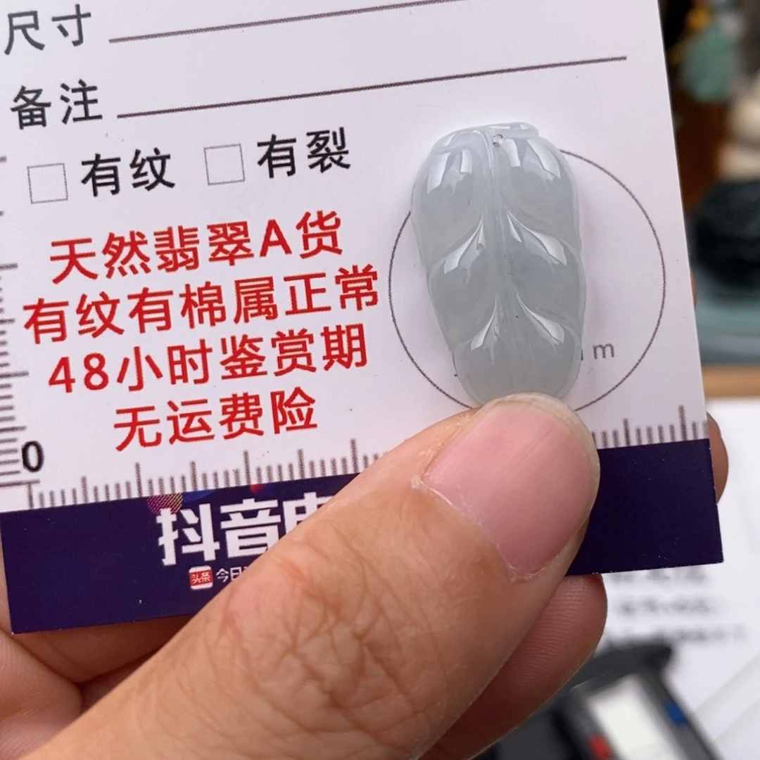 翡翠未镶嵌颈饰叶子