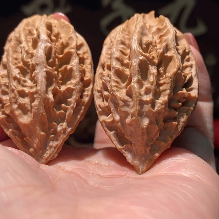 木质类聚核财婉楸58