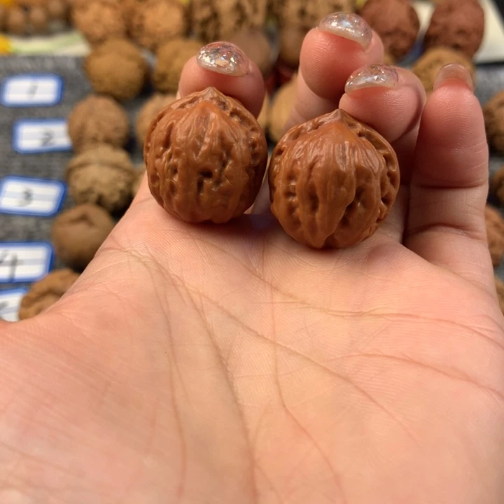 金蝉。