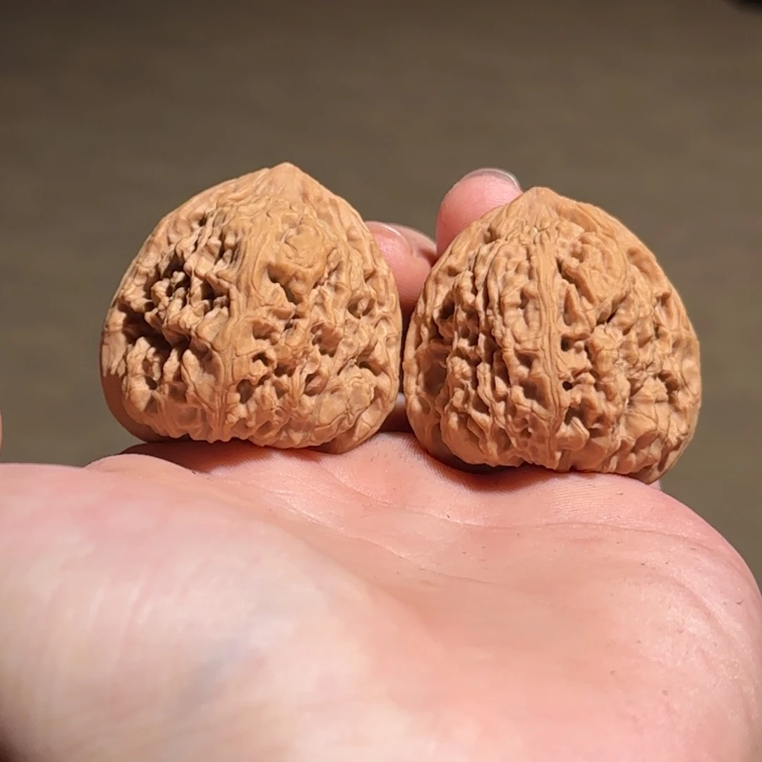 大叶紫檀（黑酸枝木类）