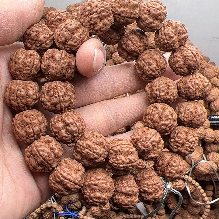 金刚菩提手串花*帝王花