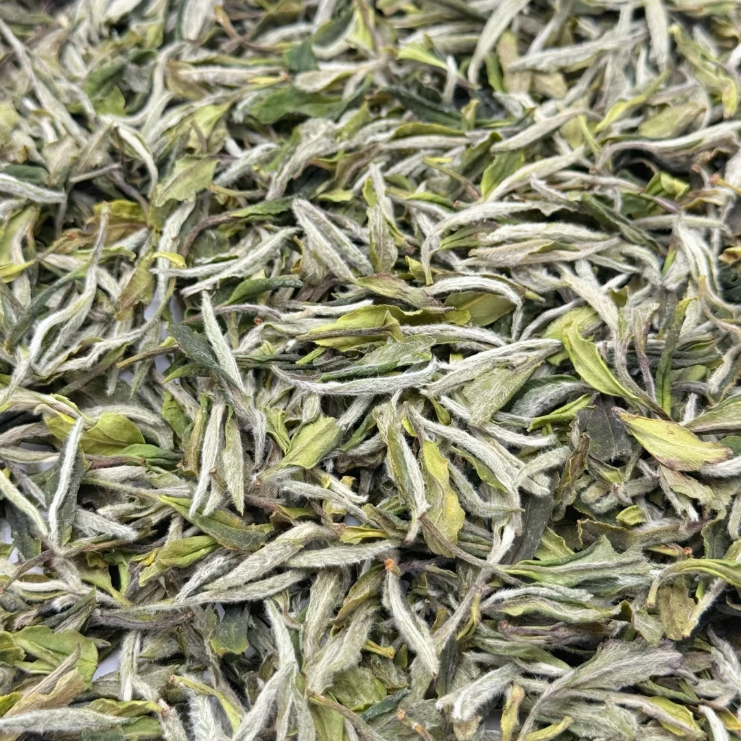 王大鹏 2025福鼎一级白牡丹磻溪南广高山茶花香型125克罐装