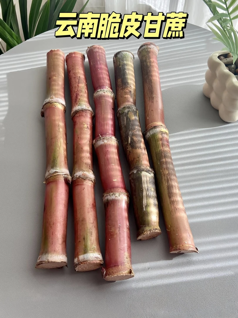 【新品尝鲜】云南河口红皮甘蔗手撕甘蔗脆甜可口包邮