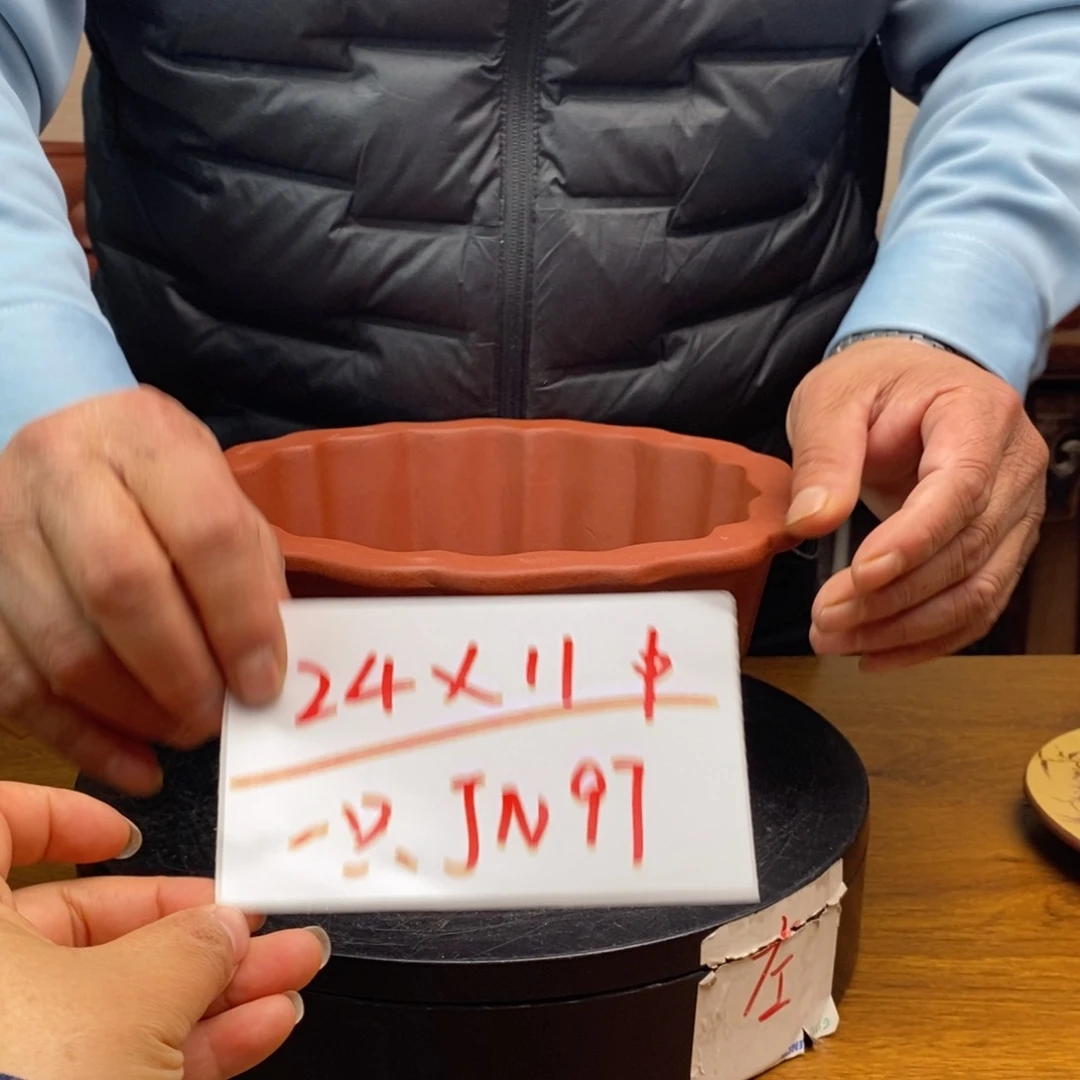 紫砂货号一只JN97中