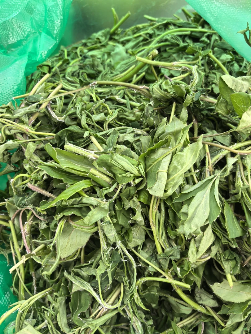 东北长白山新鲜呛头菜山野菜空运包邮