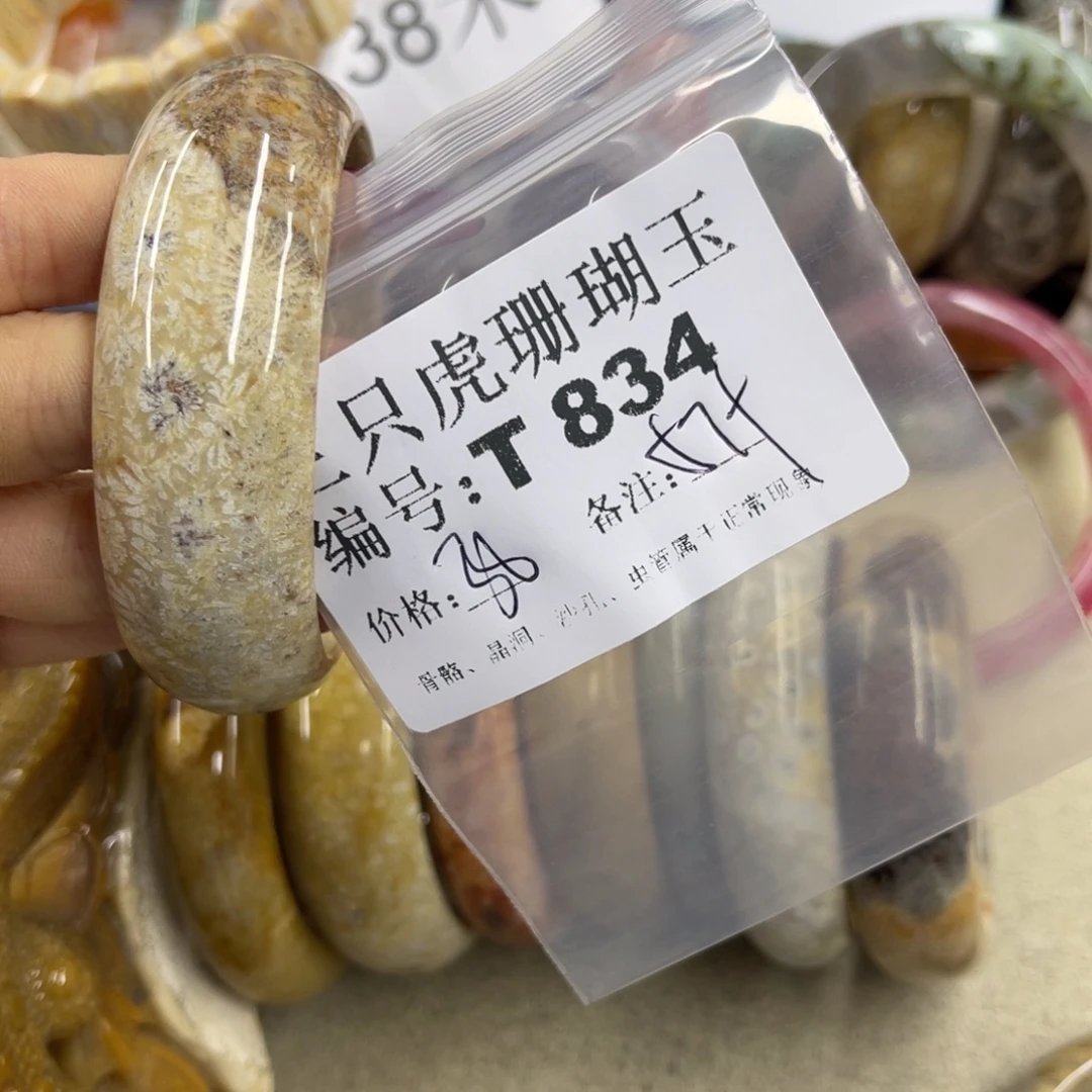 ****️硅化珊瑚（珊瑚玉）未镶嵌h