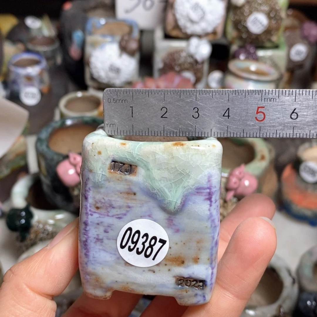 拍3送一个小礼物