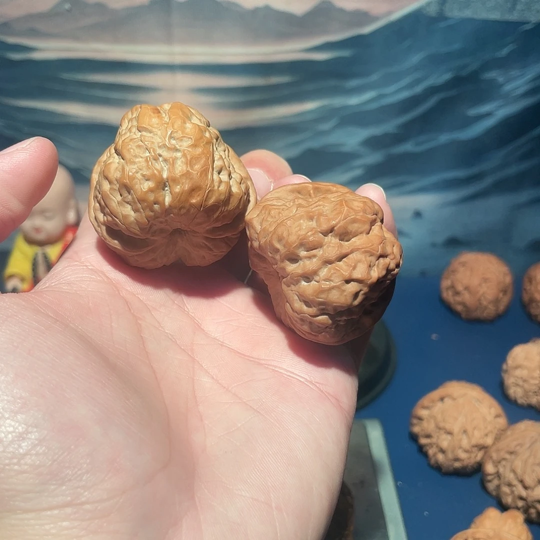 核桃41蛤蟆头hhhhh