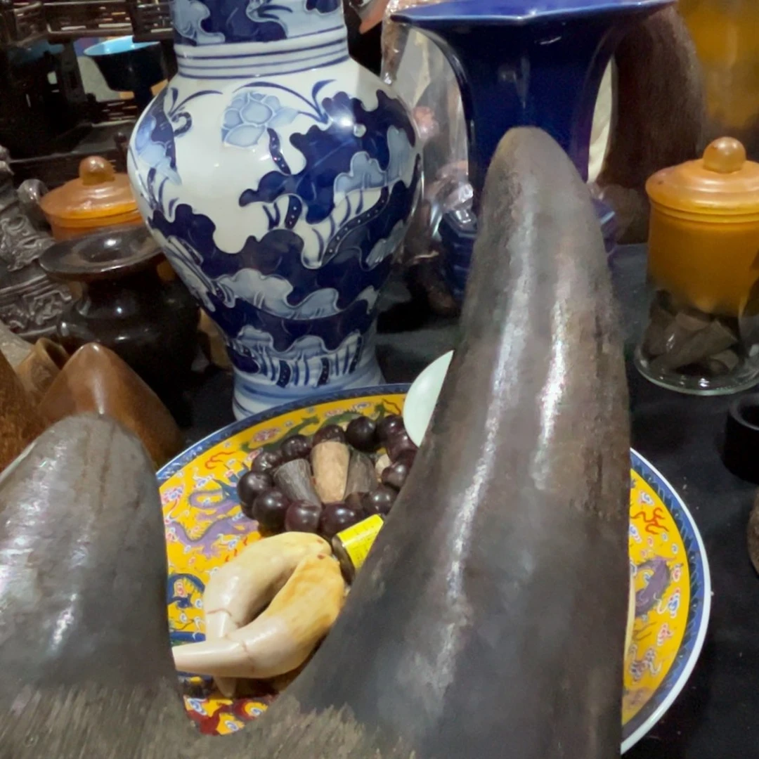 杯这种情况下就能看到