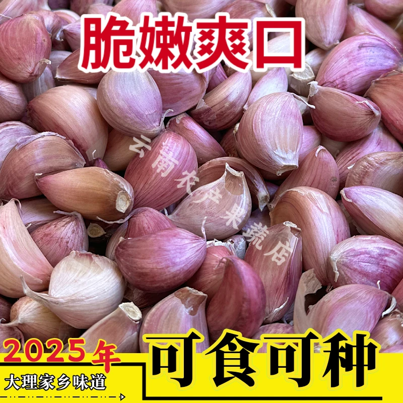 云南2025年紫皮大蒜蒜瓣今年新干蒜 蒜瓣饱满 可吃可种蒜香浓郁