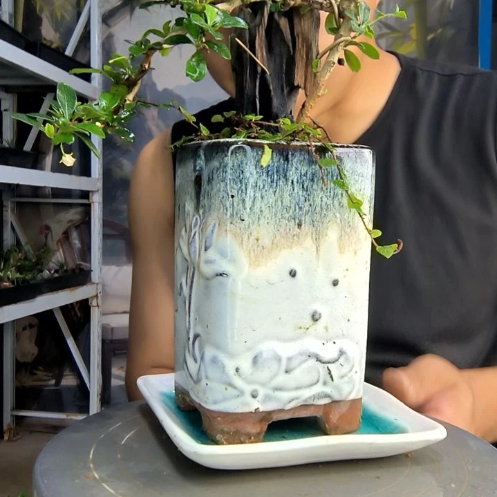 热*中青园艺一物一拍173