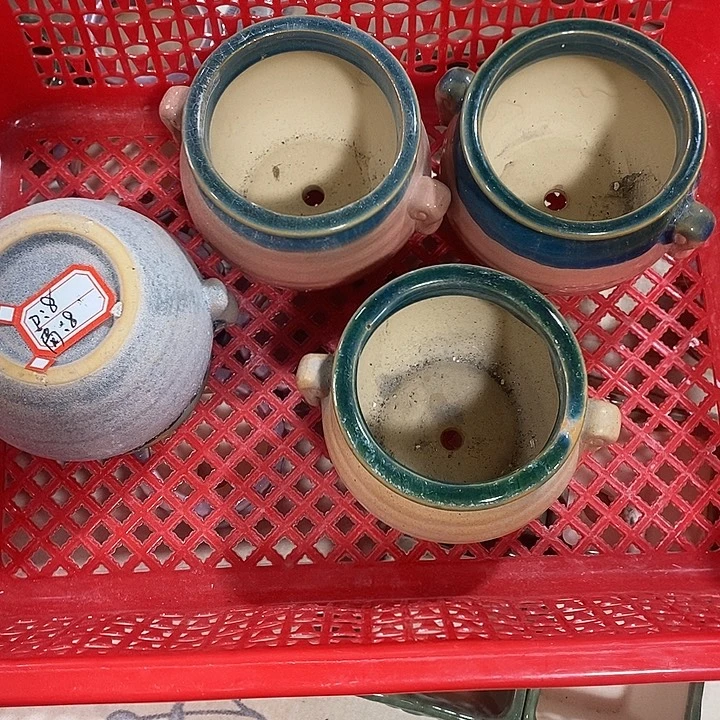 花盆抢购清货马上开始