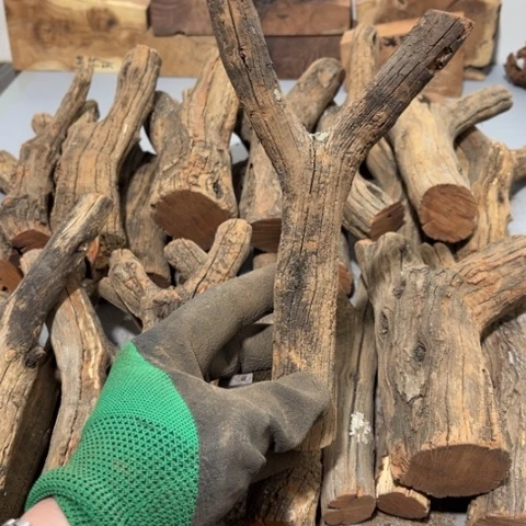 大果紫檀（缅甸花梨）N*