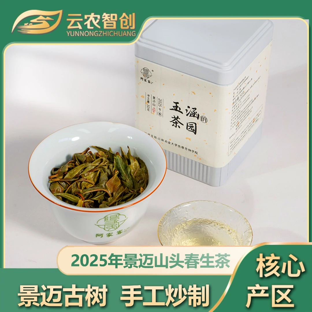 阿家客【玉涵专属】玉涵的茶园·2025年景迈山古树明前春茶50g罐装