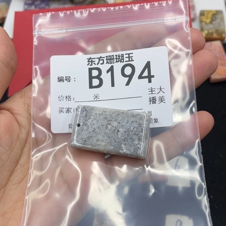 硅化珊瑚（珊瑚玉）颈饰合金咩*~