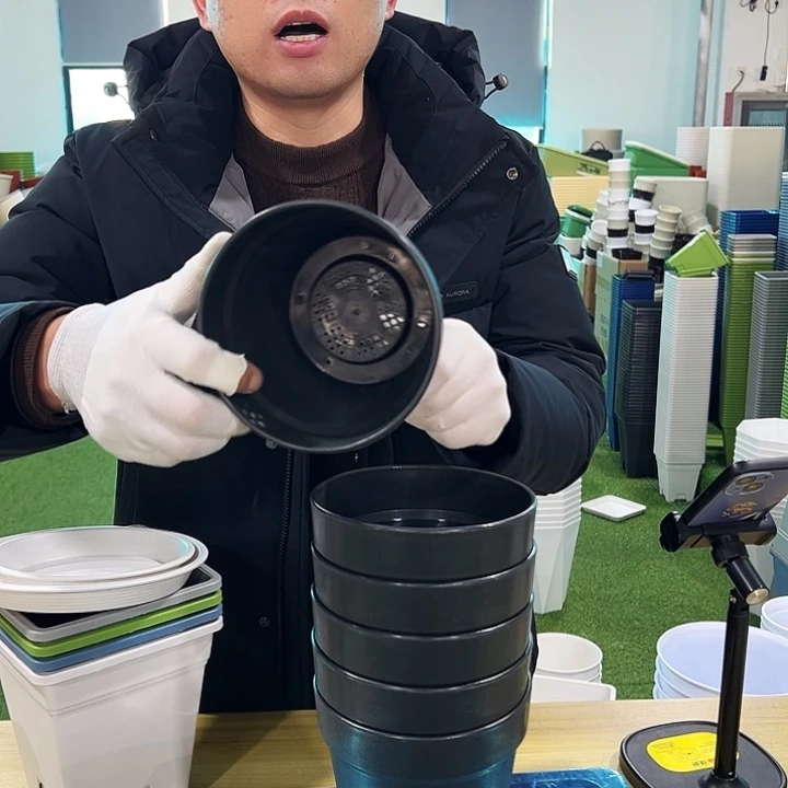 微瑕红陶口14高12.5黑色6只无托