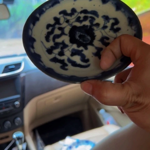 杂色豆（科檀/科特迪瓦檀木）舍**一