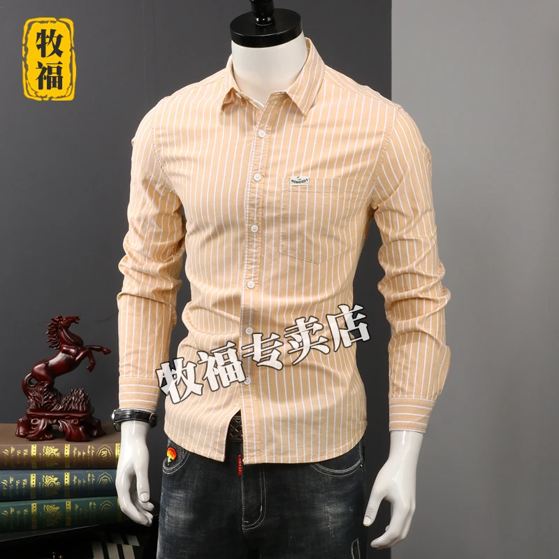 2025新款秋季条纹衬衫男长袖纯棉商务休闲衬衣宽松大码男装上衣潮