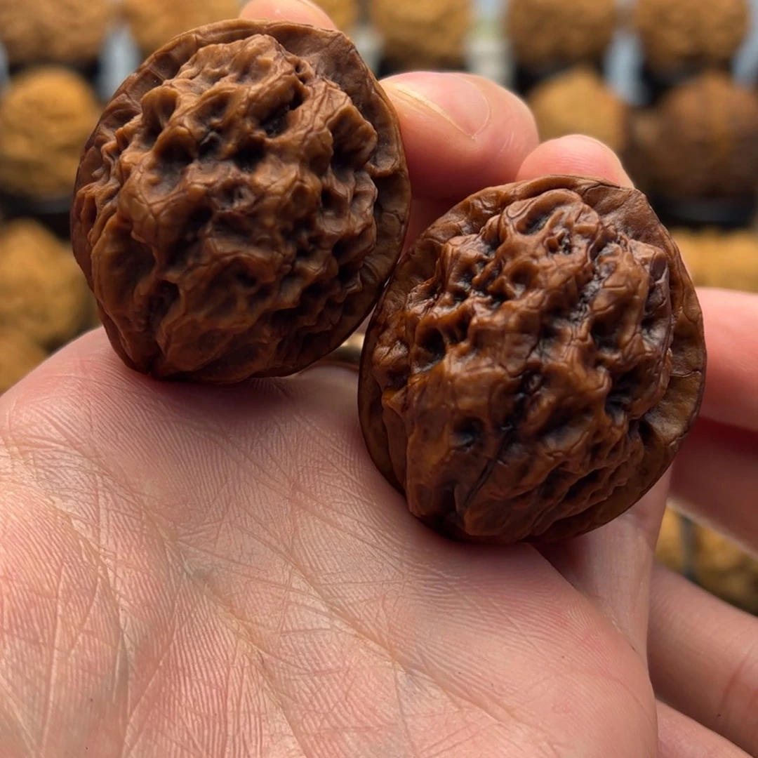 文玩核桃把件38mm龙纹大花