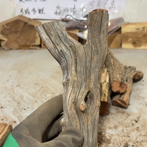 大果紫檀（缅甸花梨）邓