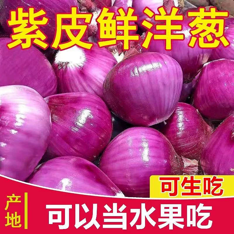 云南新鲜紫皮大洋葱圆葱生吃脆甜蔬菜甜味当季批发