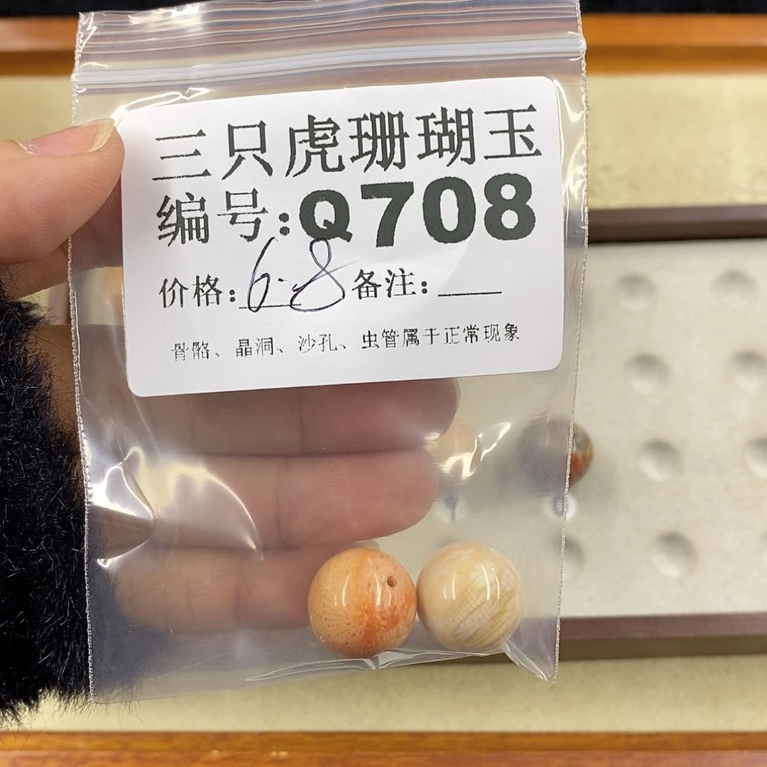 硅化珊瑚（珊瑚玉）1未镶嵌四*