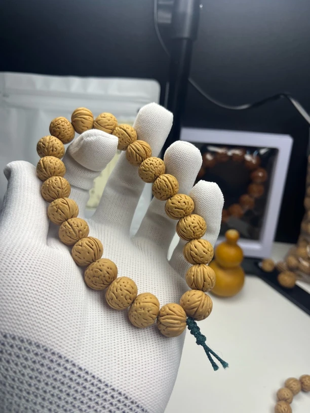 大肠一四尺寸眼皮颜色