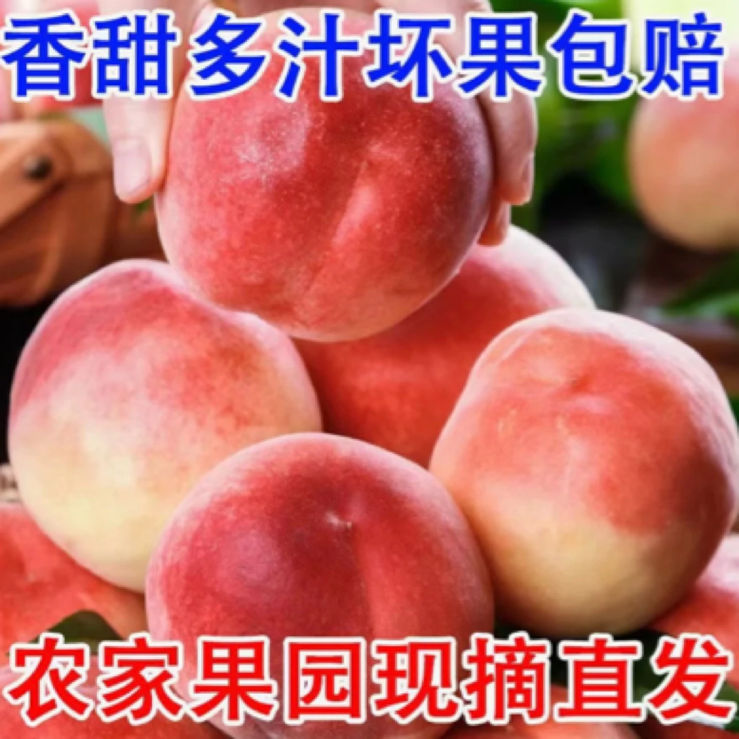 【阆中同城】四川毛脆桃/水蜜桃5/10斤免配送费爆甜多汁送货上门当季新鲜水果桃子四川省