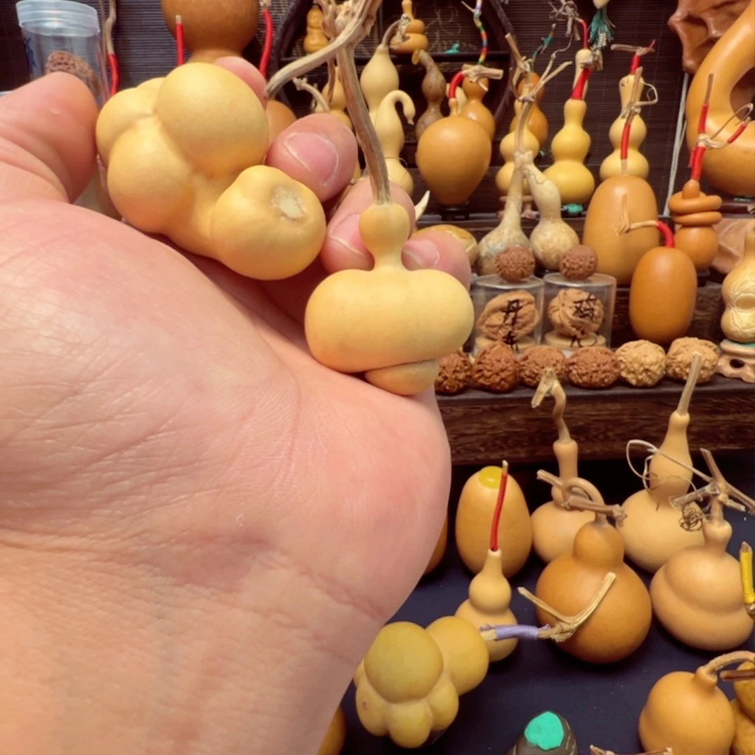 路*乌龟葫芦一物一图