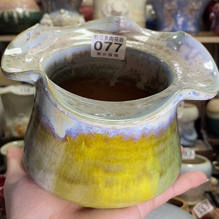 狼盆大口径15高度10