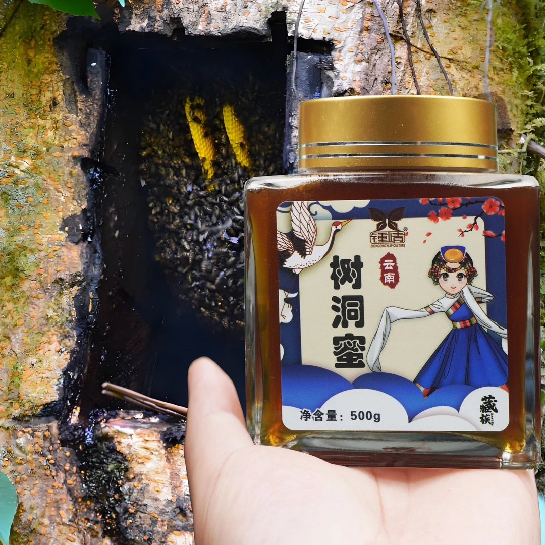 云南原始雨林树洞蜜大自然的馈赠