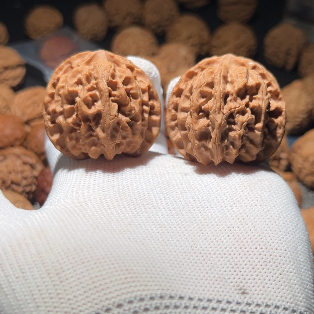 核桃42全品球体苹果园