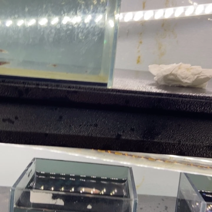 斗鱼包活不包损所见即所得124