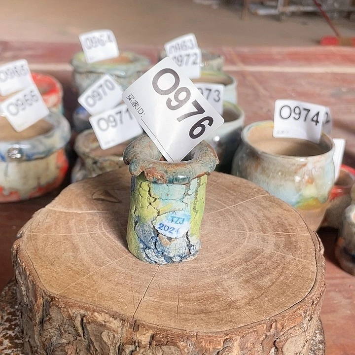 紫砂花盆独枝干 内口2