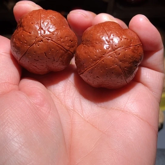 金刚菩提吊坠一三一四光头强金刚