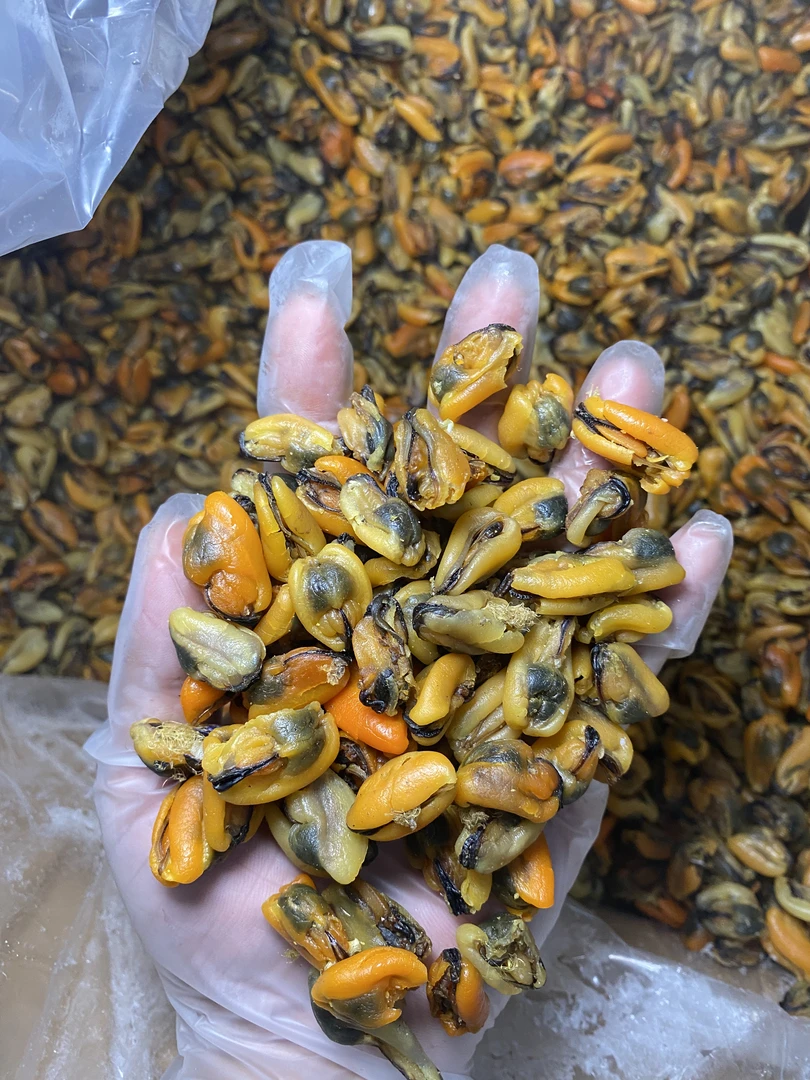 淡菜足干淡口中号淡菜仔即食海鲜干货海虹干新晒煮粥宝宝辅食煲汤