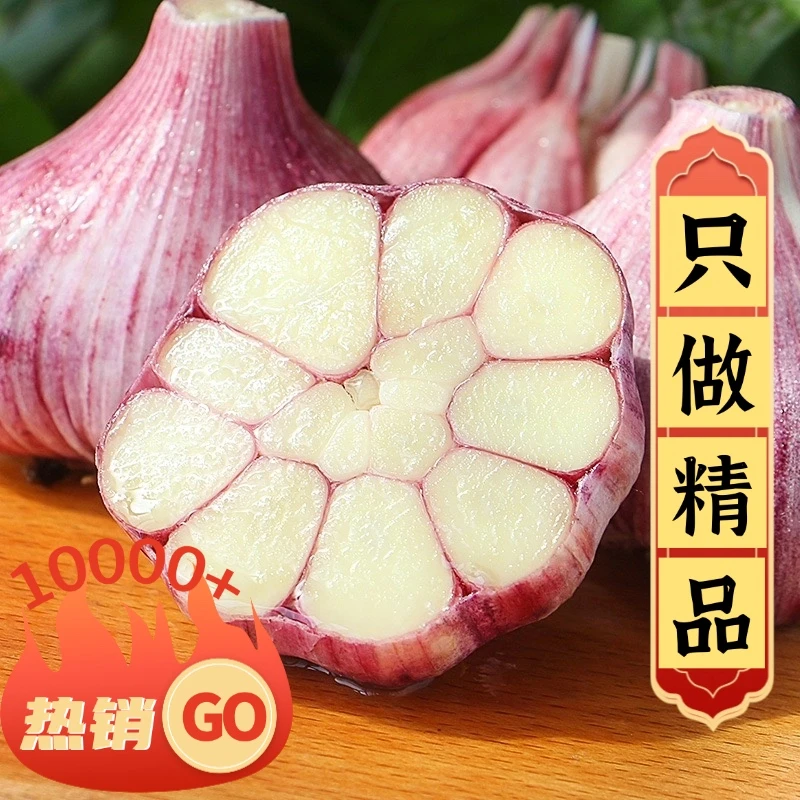 正宗山东金乡紫皮独头大蒜头新鲜一级大蒜提香农产品生鲜特产