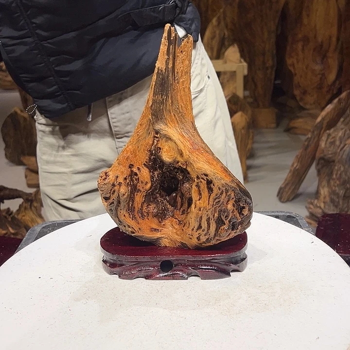 松木（琥珀木）南***王