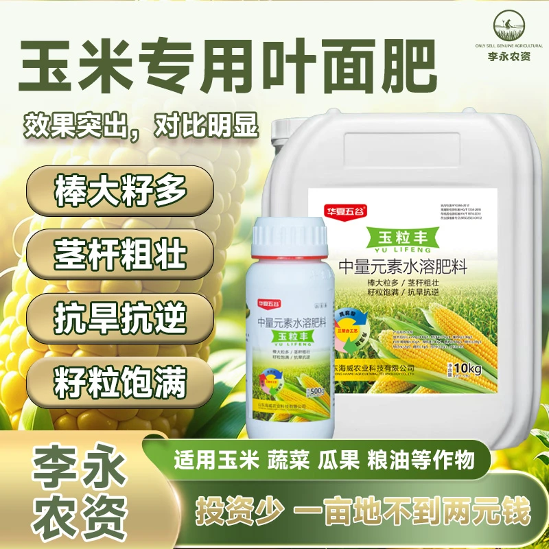 玉米叶面肥甜玉米专业，灌浆增甜，绿叶抗到，玉米增产厂家直销