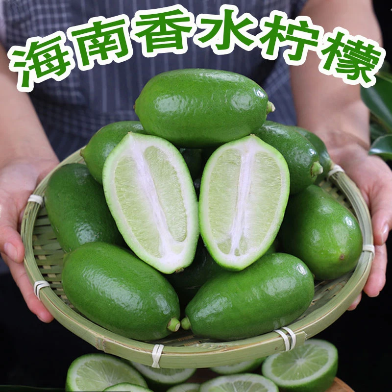 正宗海南无籽香水柠檬青柠檬子弹头奶茶店手打柠檬茶