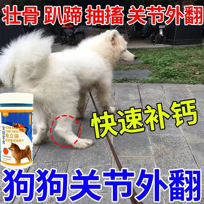 狗狗髌骨脱位骨折宠物关节外翻关节发育不良修复趴蹄腿瘸狗狗补钙