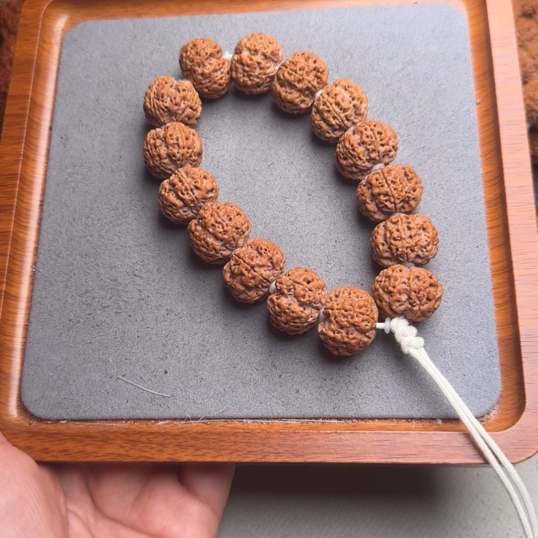 菩提7号尼泊尔大金刚21凹底梅花