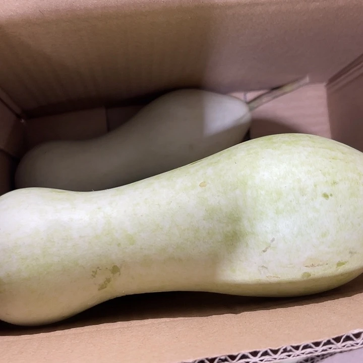 非洲紫檀（红花梨）似**叔