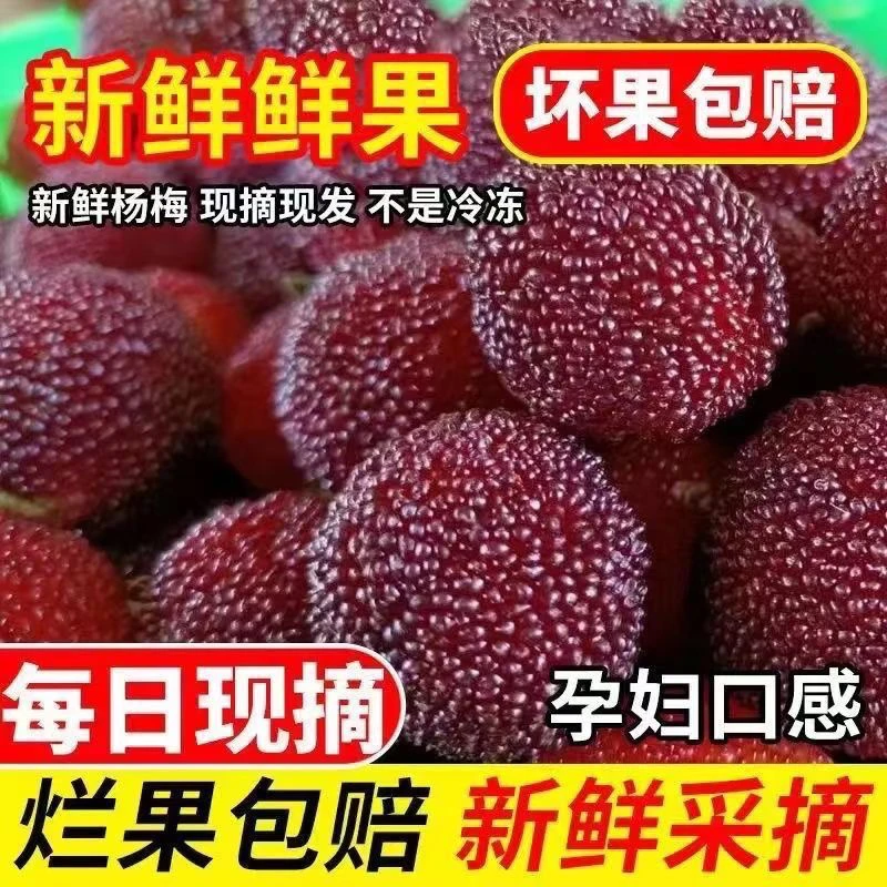 广西灵山杨梅子新鲜现摘酸甜可口孕妇适宜水果