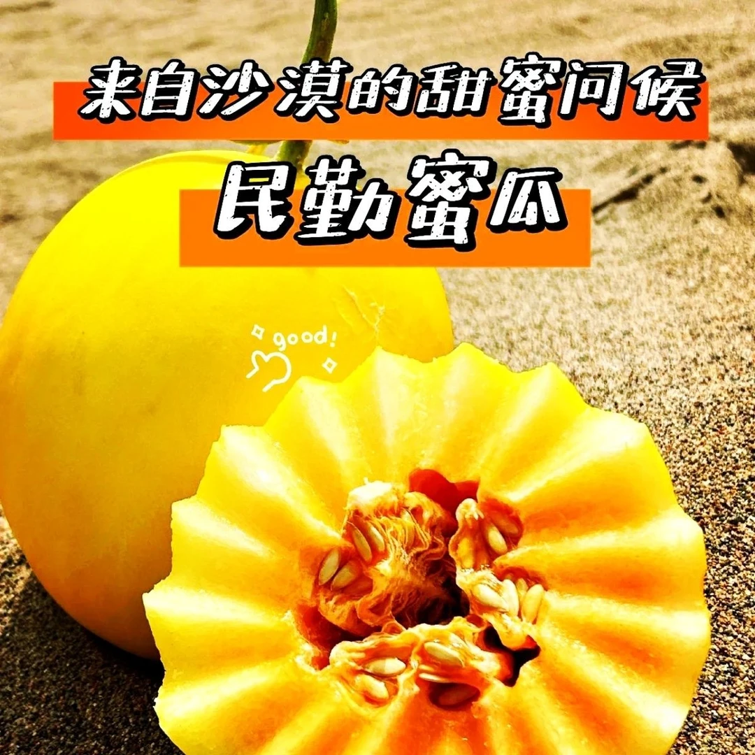 【沙漠蜜瓜】甘肃民勤蜜瓜新鲜水果当季现摘现发香甜多汁H