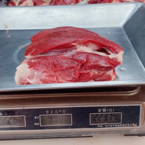 【闪购商品】冷冻保存30天包装河北省