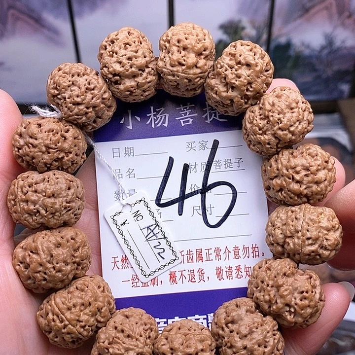 手串金刚菩提22双龙