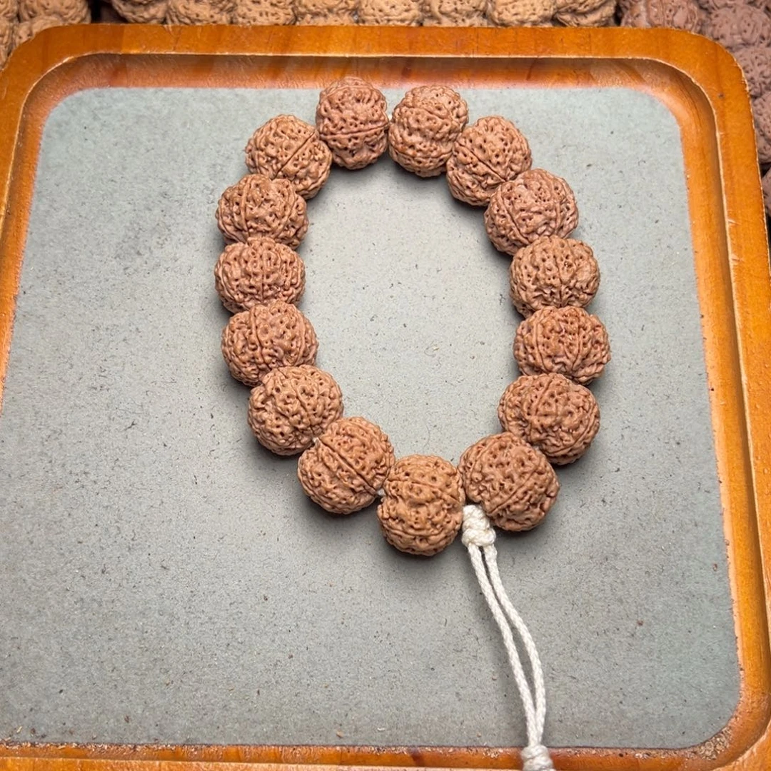 菩提27号金刚菩提六瓣23