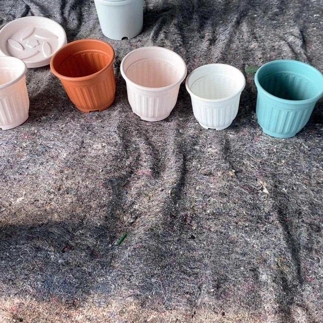 牧*24口罗马4粉2白带托