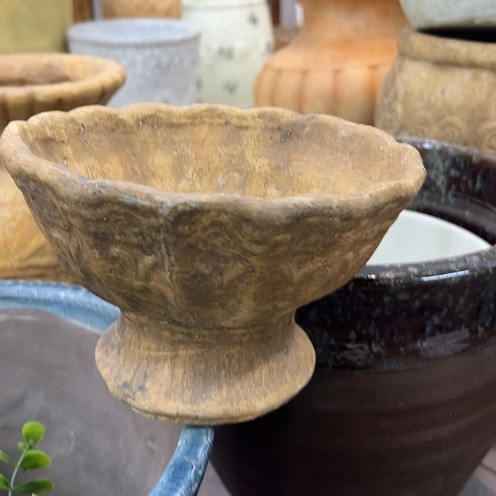 855668855856988565566微瑕